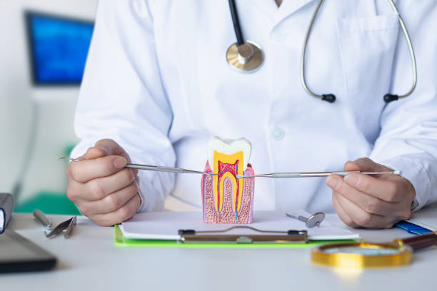 Best Broken or Chipped Tooth Repair in Lawnton, PA